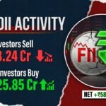 FII and DII Activity