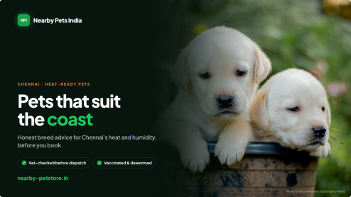 Chennai Pet Parents